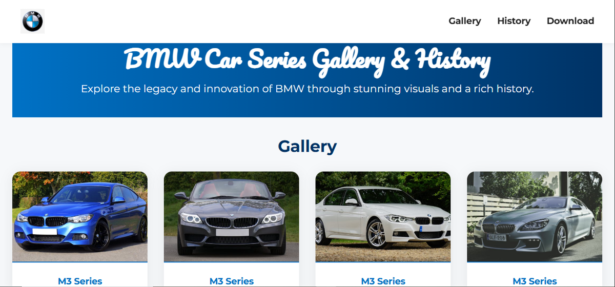 BMW Car Show